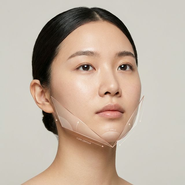 Vライン (V-line Jaw Contour)の解説画像